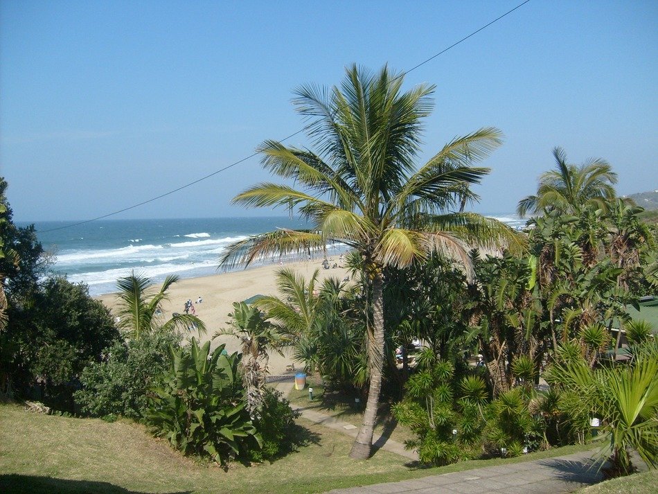 Marina on the South Coast