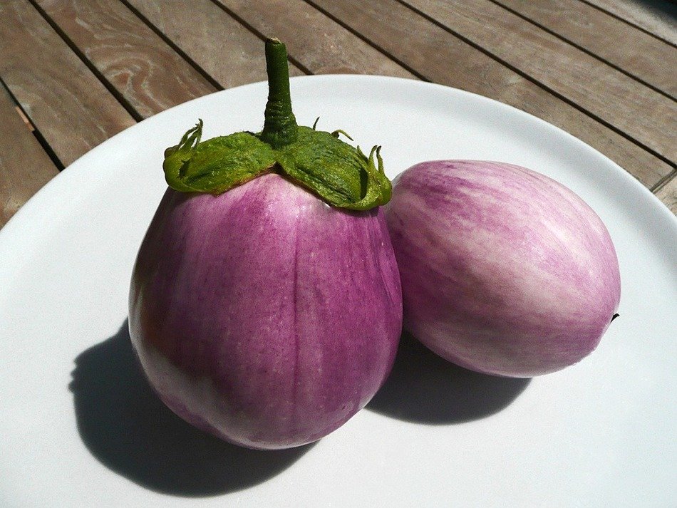 tasty eggplant melanzana cook food eat