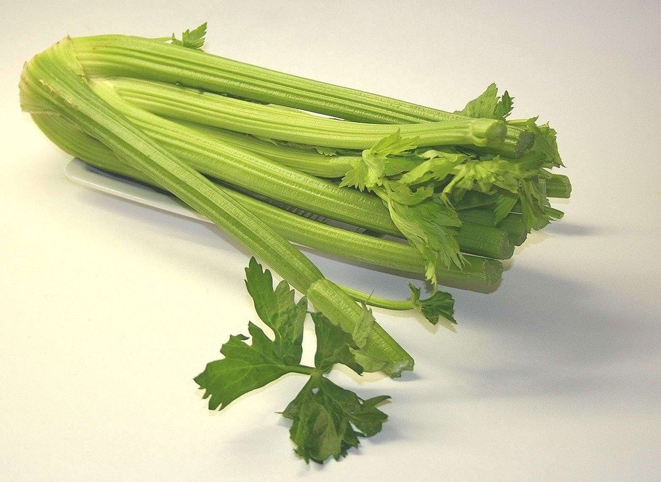 celery stalks, good for your health