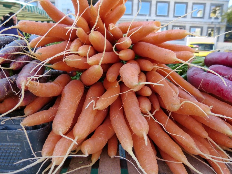 bunch of carrots on the market