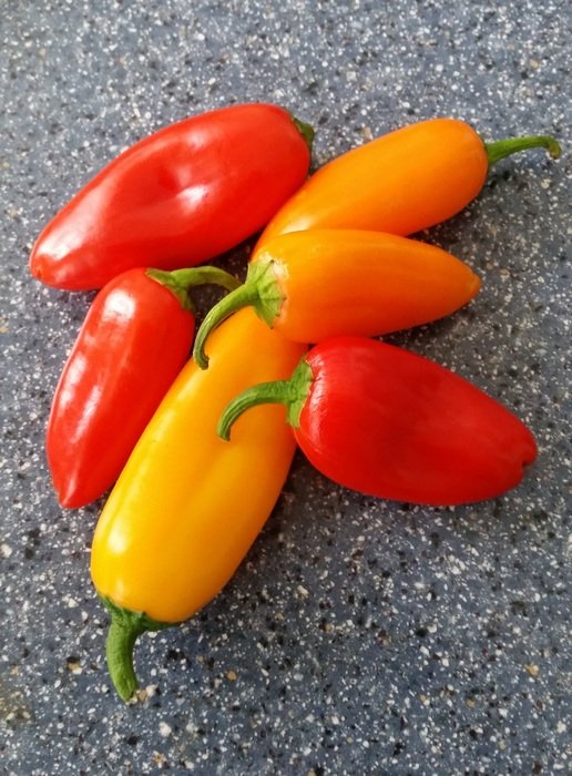 chiquino peppers food