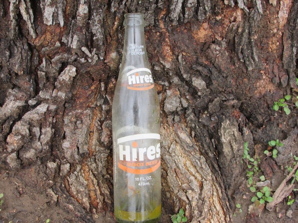 bottle hires drink