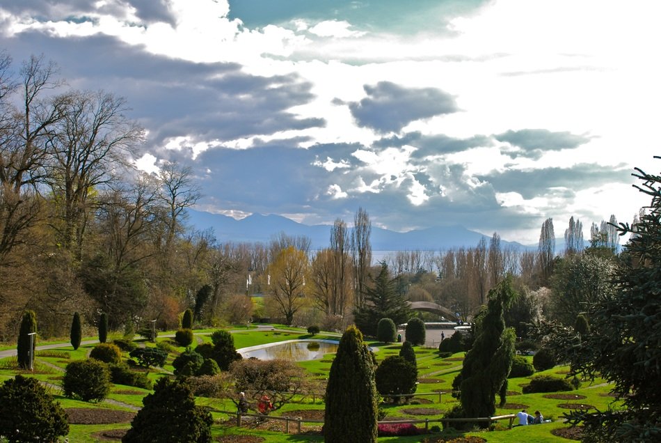 beautiful landscape of green park