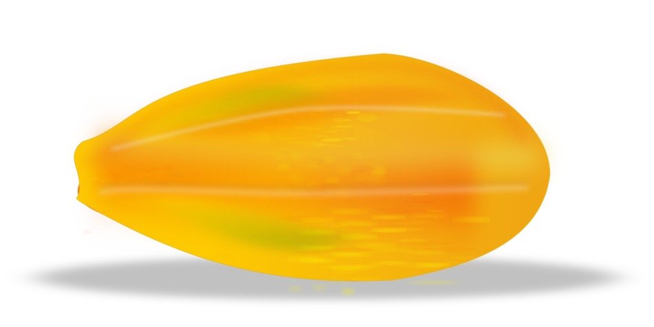 slice of juicy exotic papai drawing
