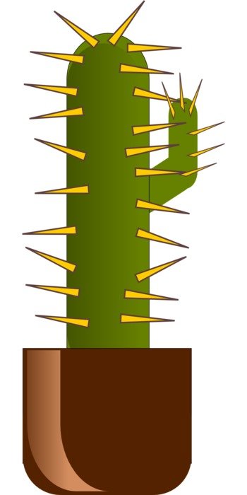 drawn cactus in a pot on a white background