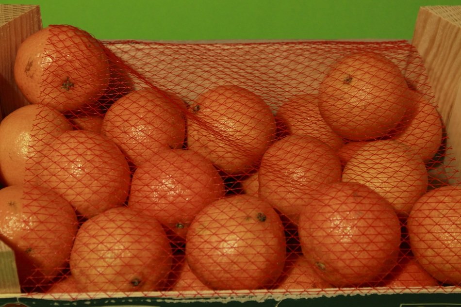 clementines fruit in box