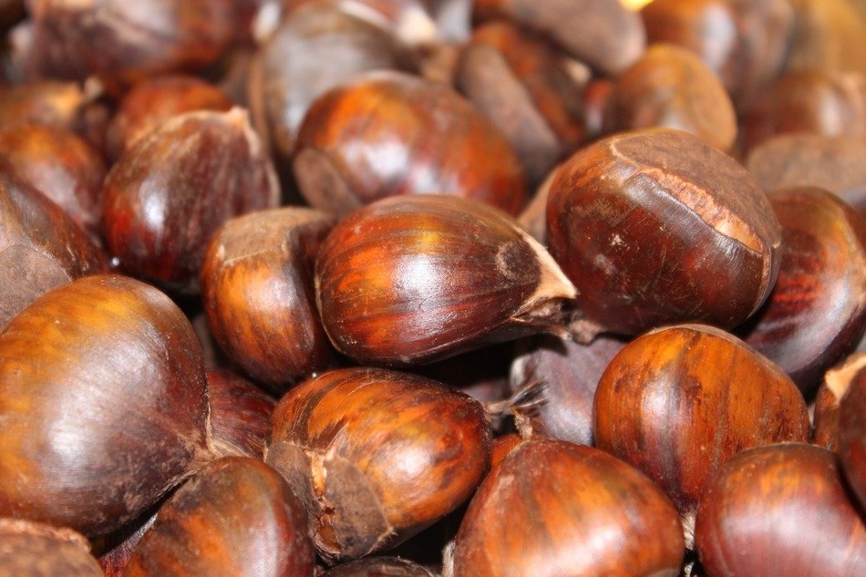 boiled chestnuts, background