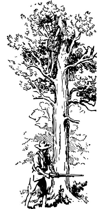 lumberjack near the big tree as a graphic image