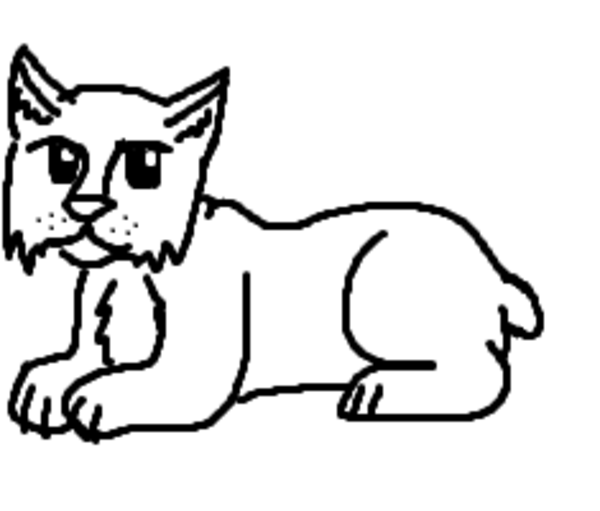 Easy Draw Lynx Free Image Download