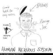 Human Brain Cartoon N5