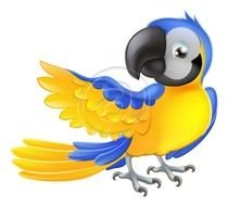 Cartoon Parrot N3