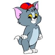 Tom And Jerry Character N3