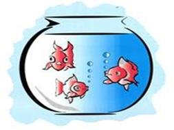 drawn round aquarium with fish