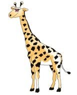 small nice giraffe as a drawing