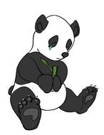 Sad Panda Clip Art
