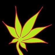 Drawing Marijuana Pot Leaf