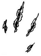 abstract black blots