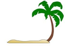 nice Palm Tree drawing