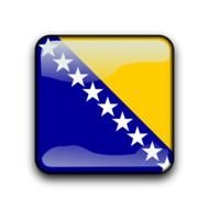 Bosnia and Herzegovina flag, glossy button