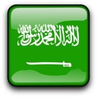 Saudi Arabia Flag N10