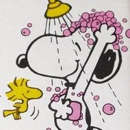 Snoopy Woodstock N8