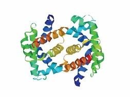 colourful serpentine