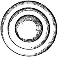 drawn camera lens