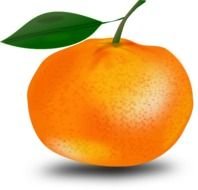 Orange With Leaf