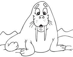 black and white picture of a sea seal