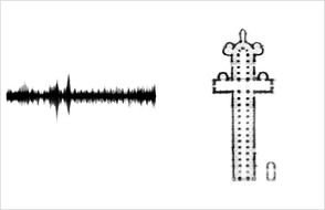 waveform and building plan