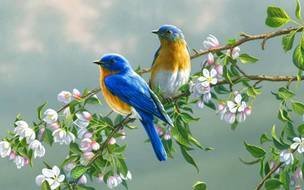 Colorful beautiful birds on the tree branches with the flowers on it