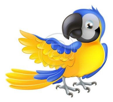 Cartoon Parrot N3
