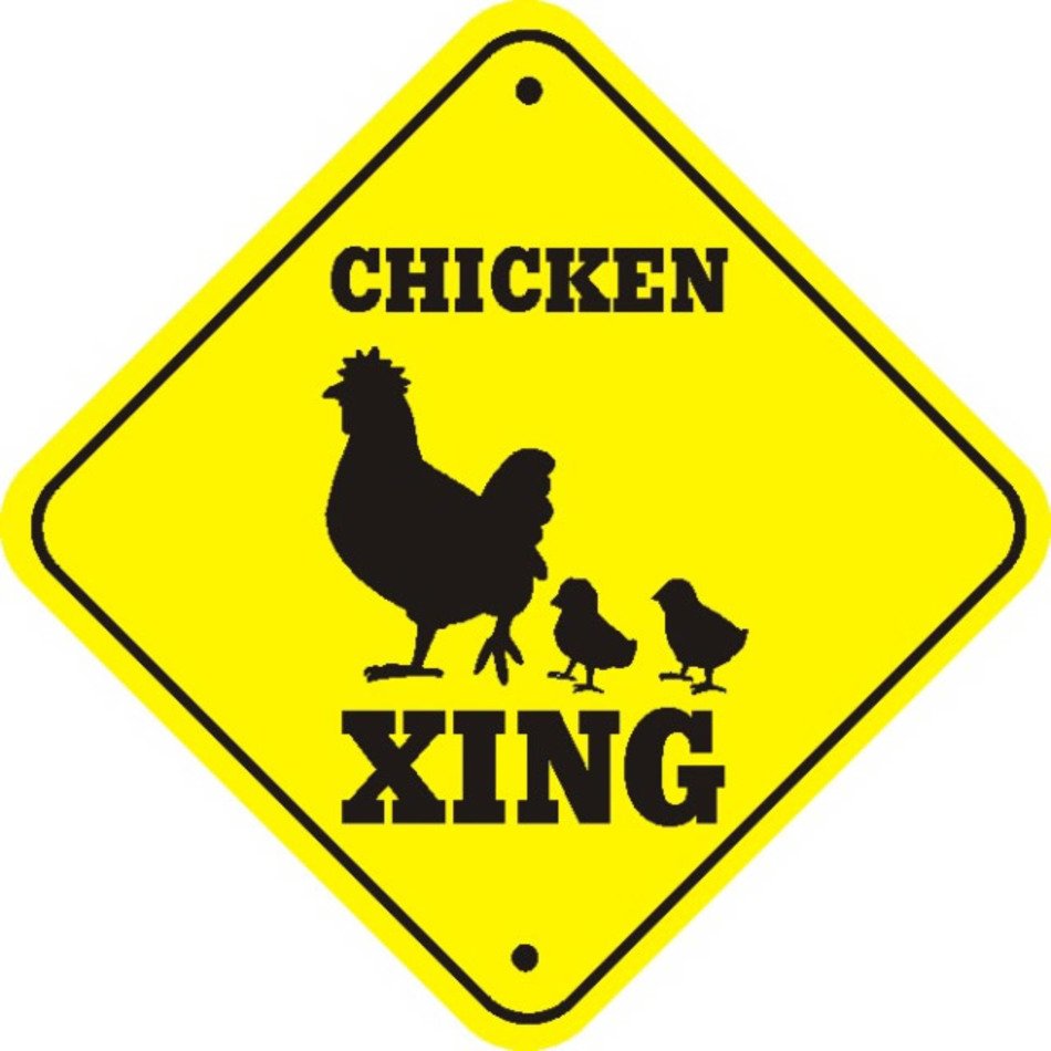 Chicken Cross The Road