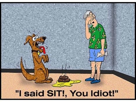 Really Funny Stuff