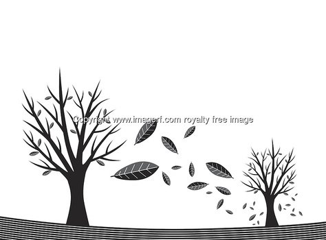 Windy Trees