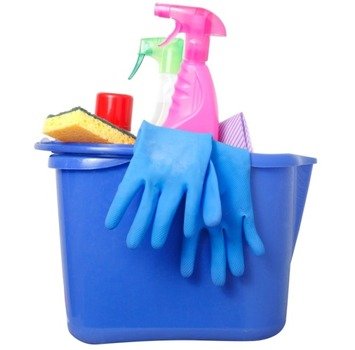 Cleaning Supply Clip Art N11