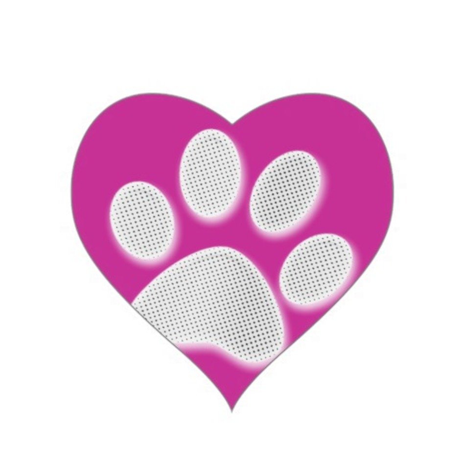 Paw Print Heart N4