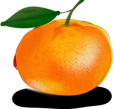 Orange With Leaf