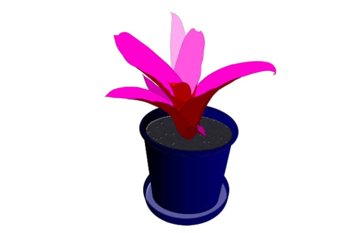 Potted Plant Clip Art N24