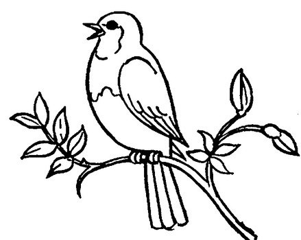 Birds On A Limb Clip Art