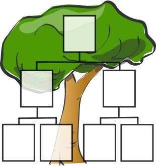 Family Tree Clip Art N71