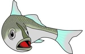Saltwater Fish drawing
