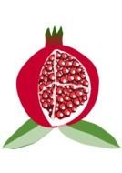 Pomegranate Fruit as an illustration