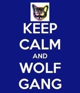 Keep Calm And Wolf