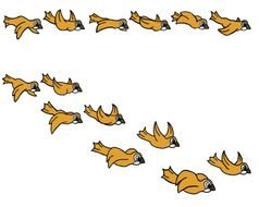 Bird Flying Animation N2
