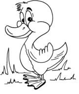 Duck Coloring Sheet Page