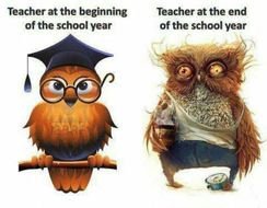 Funny Teacher Memes