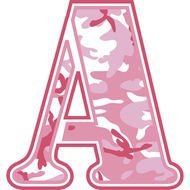 Pink Camo Letters N2