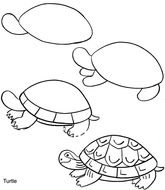 How To Draw Sea Turtles