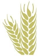 wheat spikelet pattern